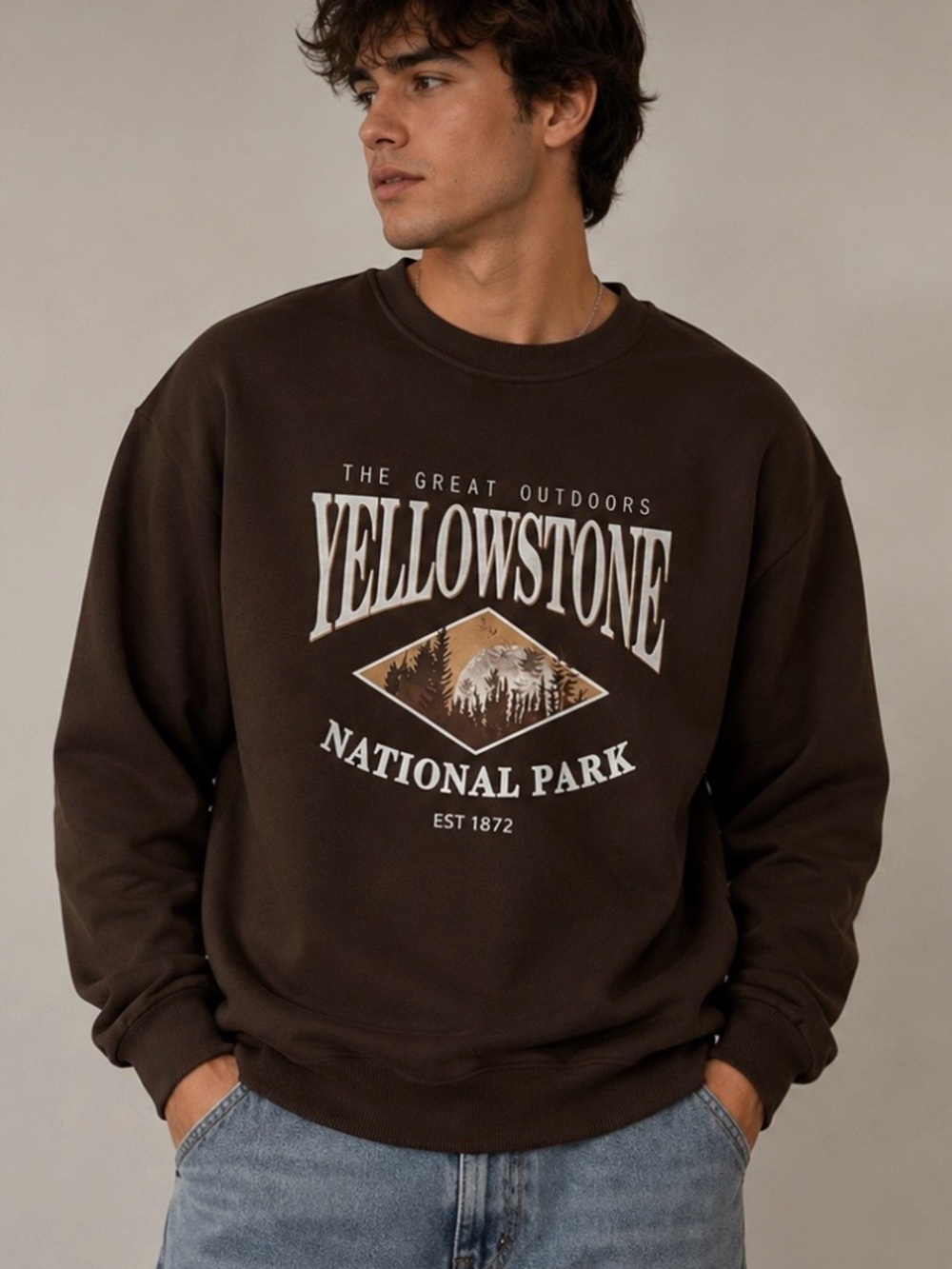 National Park Brown Graphic Sweatshirt